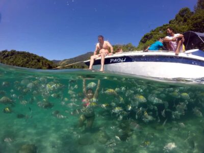 Angra dos Reis and Ilha Grande: Small-Group Fast-Boat Tour - Ilha Grande beach hopping: what you’ll do at each kind of stop