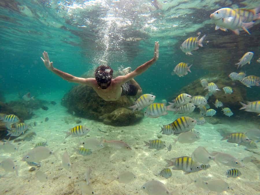 Angra dos Reis and Ilha Grande: Small-Group Fast-Boat Tour - Who this tour suits best (and who should rethink it)