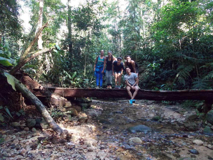 Bico do Papagaio Guided Hiking Tour in the Tijuca Forest - Optional adrenaline: abseiling from the top of Bico do Papagaio