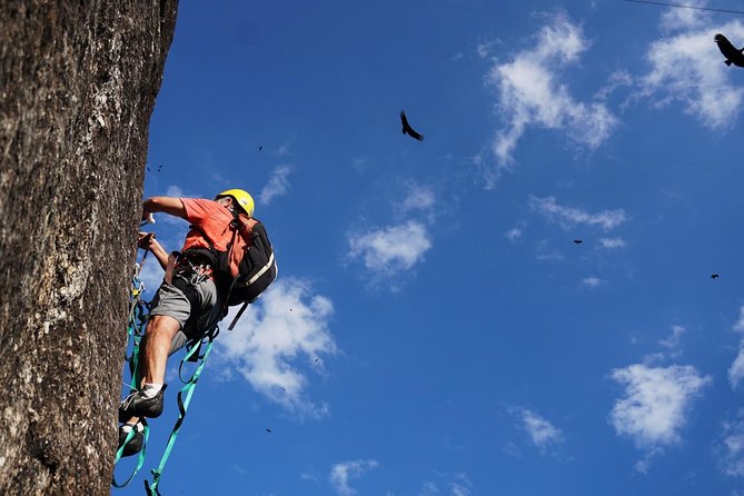 Climb Rio de Janeiro: Rock Climbing Tailored for All Levels - Gear and instruction: the setup that keeps nerves in check