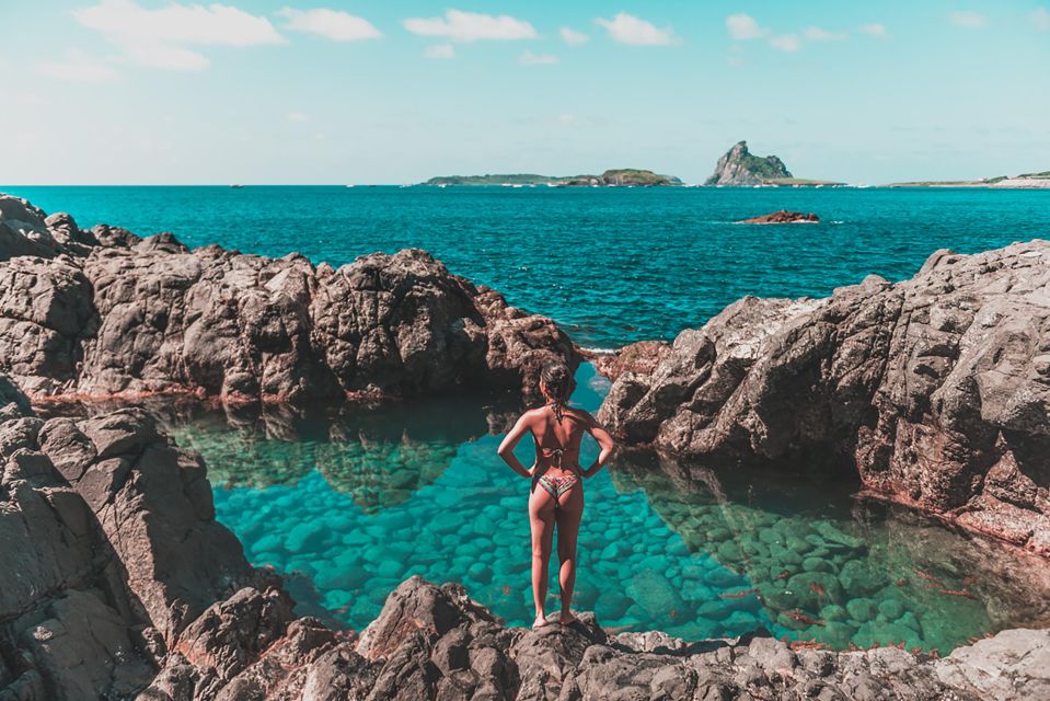 Discover Noronha: 7-Hour Ilhatour Adventure - Praia do Leão to Baía do Sueste: water time and wildlife odds