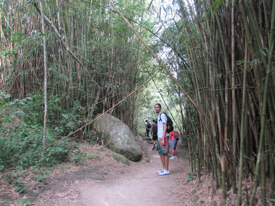 Discover Pedra do Telégrafo: Scenic Hike with Expert Guide - Getting There: Pickup Points Around Copacabana, Ipanema, and Leblon