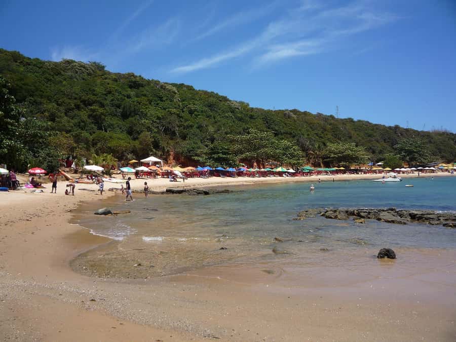 From Rio: Búzios with Boat Tour and Lunch - Logistics to Watch: Pickup Comfort, Meeting Points, and Timing