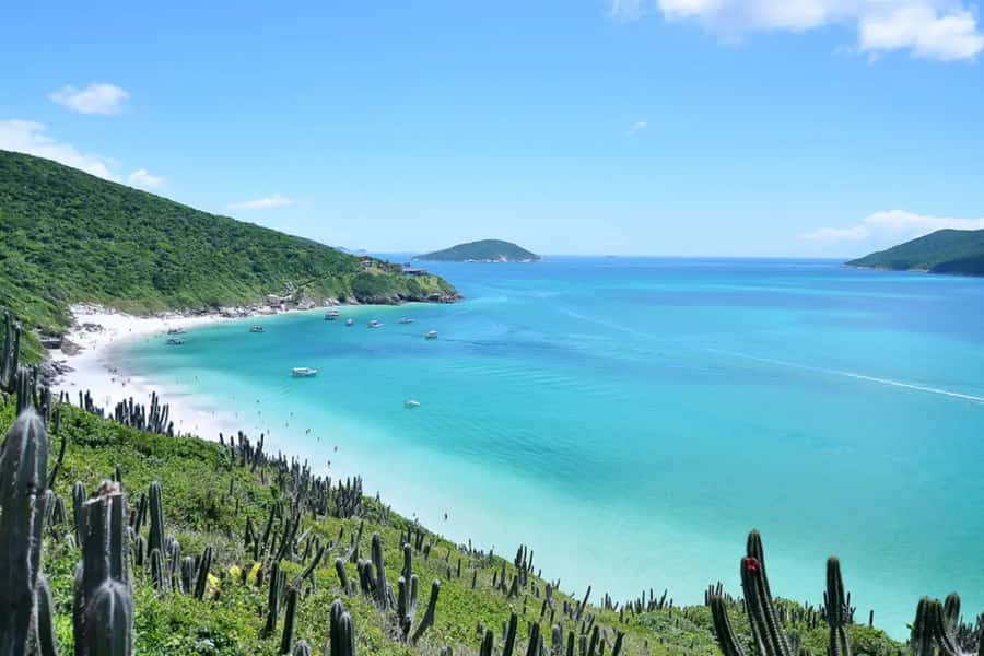 From Rio de Janeiro: Arraial do Cabo Island Day Trip - Key things you’ll notice right away