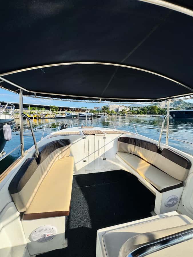 From Rio de Janeiro: Private Speedboat Tour - Food planning: making the barbecue part easy (and not stressful)
