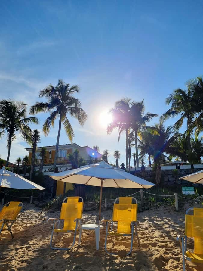 From Rio de Janeiro: Tour discovers Búzios in Buggy - Key highlights at a glance