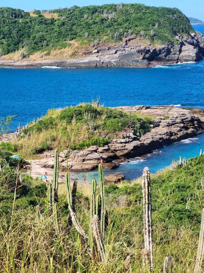 From Rio de Janeiro: Tour discovers Búzios in Buggy - Price and what you’re really paying for (around $70)