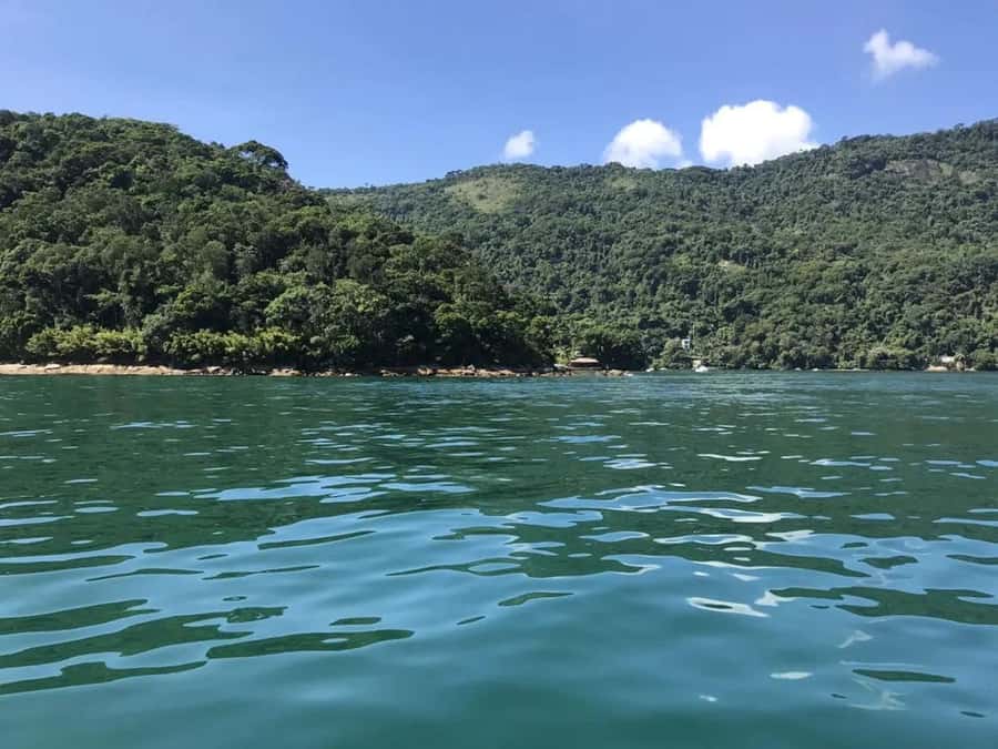 Full-Day Tour to Angra dos Reis and Ilha Grande - Key points that matter most