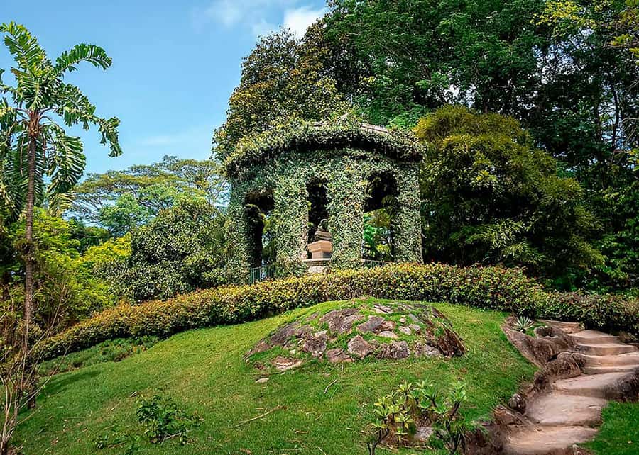 Green Rio: Guided Tour of Botanical Garden and Lage Park - Who This Tour Fits Best (and Who Might Prefer Something Else)