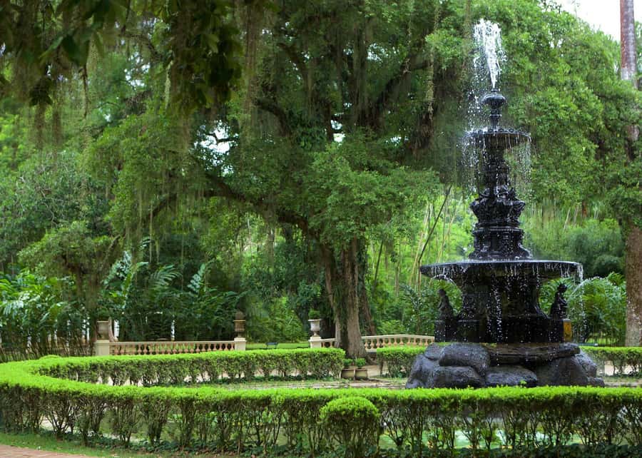 Green Rio: Guided Tour of Botanical Garden and Lage Park - Botanical Garden: Royal Palms, Themed Gardens, and Plant Stories