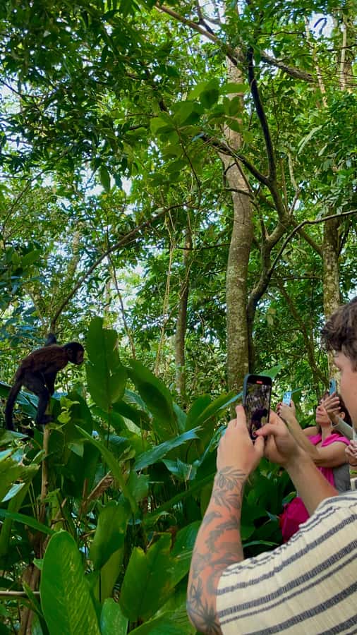 Hike Dois Irmãos + Vidigal Favela Experience - Price and value: why $36 feels fair here