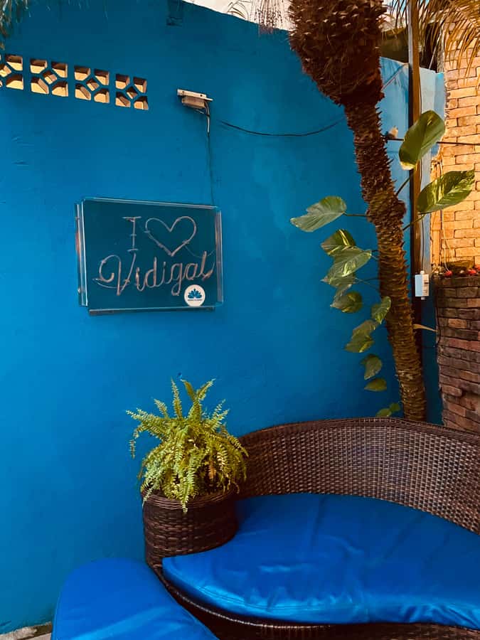 Hike Dois Irmãos + Vidigal Favela Experience - The guide experience: what stands out from the names you’ll hear