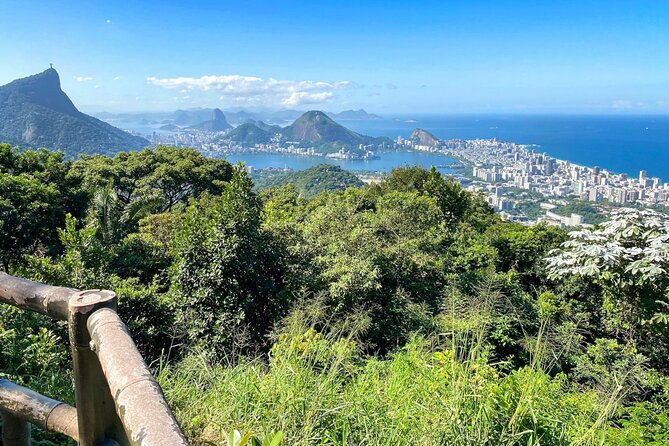Hiking in the Tijuca Forest : Waterfalls and Caves - Light-to-moderate hiking in Floresta da Tijuca