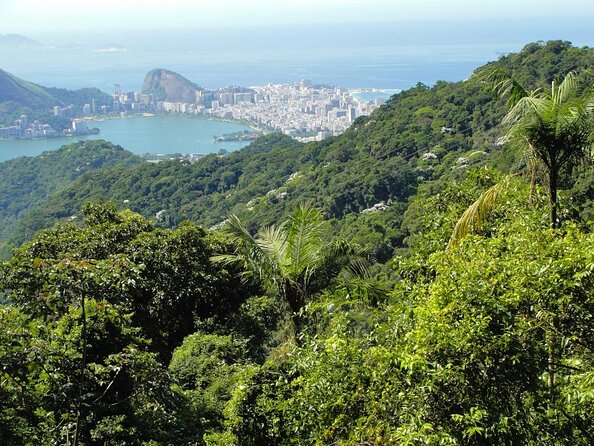 Jeep Adventure: Guided Tour through Tijuca Rain Forest - Key highlights at a glance