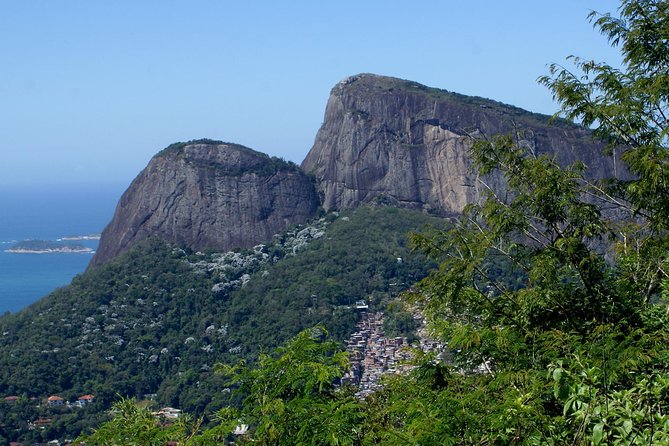 Jeep Adventure: Guided Tour through Tijuca Rain Forest - Time, comfort, and why $88.21 can still be good value