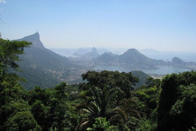 Jeep Adventure: Guided Tour through Tijuca Rain Forest - Picking the right day: weekends and Vista Chinesa