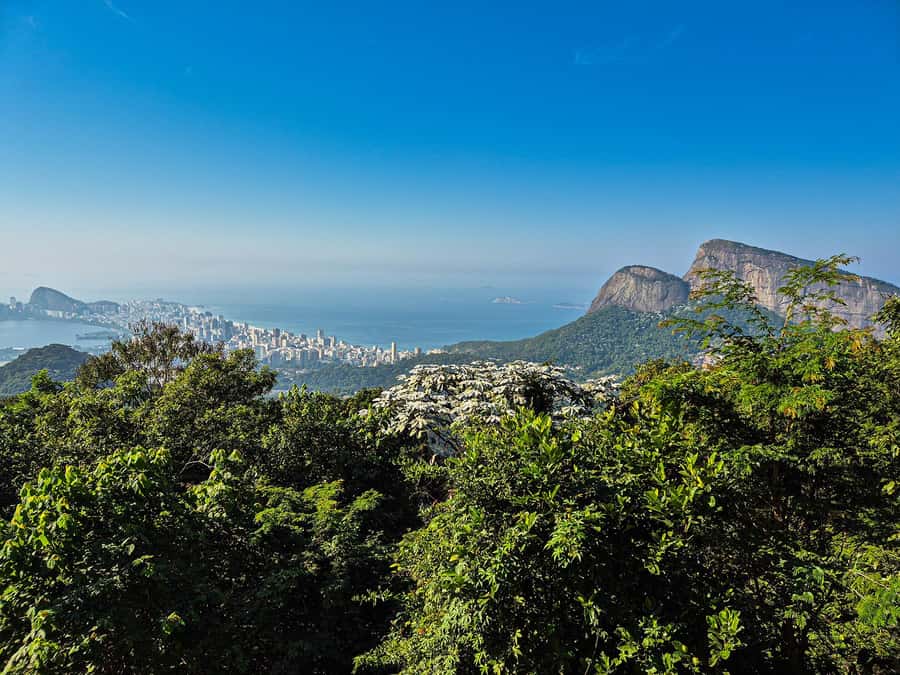 Jeep'n'Culture: Rocinha Favela and Tijuca Rainforest Tour - Tijuca Forest in a Jeep: the world’s largest urban forest, close to Rio
