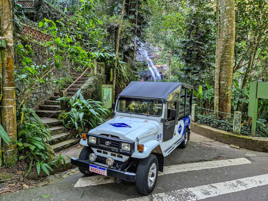 Jeep'n'Culture: Rocinha Favela and Tijuca Rainforest Tour - Monkeys, birds, butterflies, and sloths: how to make the wildlife part work