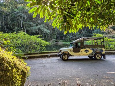 Jeep'n'Culture: Rocinha Favela and Tijuca Rainforest Tour - Cascatinha Taunay and the Visitor Center hike: photos, wildlife, and small effort