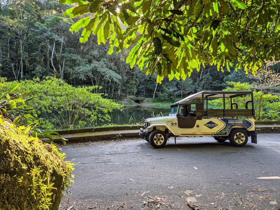 Jeep'n'Culture: Rocinha Favela and Tijuca Rainforest Tour - Cascatinha Taunay and the Visitor Center hike: photos, wildlife, and small effort