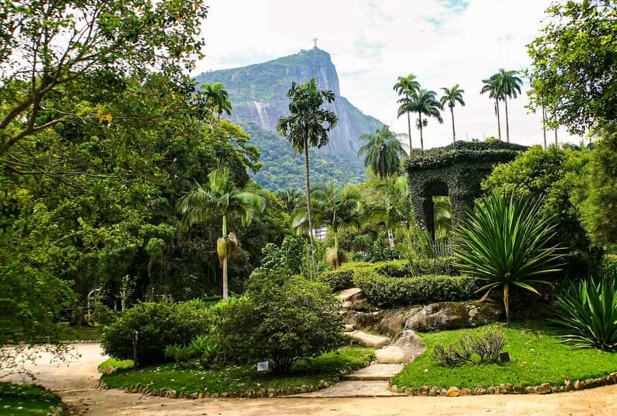 Jeep'n'Green: Rio Botanical Garden & Tijuca Rainforest Tour - Key highlights to look forward to