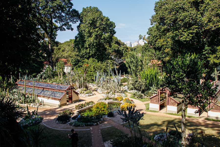 Jeep'n'Green: Rio Botanical Garden & Tijuca Rainforest Tour - Practical tips to make the day smoother