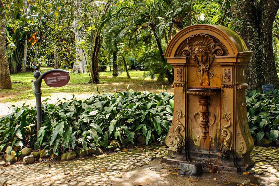 Jeep'n'Green: Rio Botanical Garden & Tijuca Rainforest Tour - What this 4-hour Jeep’n’Green route is really about
