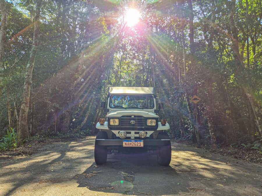 Jeep'n'Green: Rio Botanical Garden & Tijuca Rainforest Tour - Tijuca Atlantic Forest by Jeep: Emperor’s Table and Mayrink Chapel moments