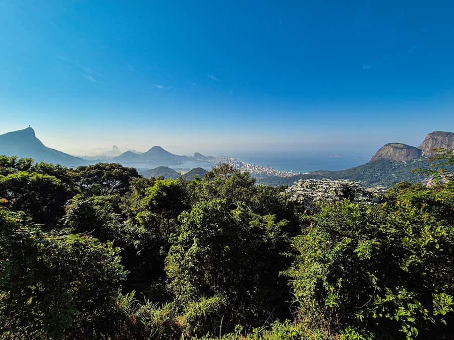 Jeep'n'Green: Rio Botanical Garden & Tijuca Rainforest Tour - Cachoeira dos Macacos eco-trek: short walk, clear waterfall reward