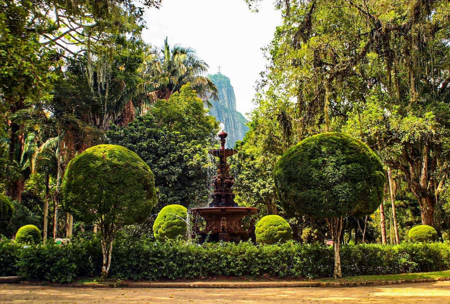 Jeep'n'Green: Rio Botanical Garden & Tijuca Rainforest Tour - Who this tour suits best