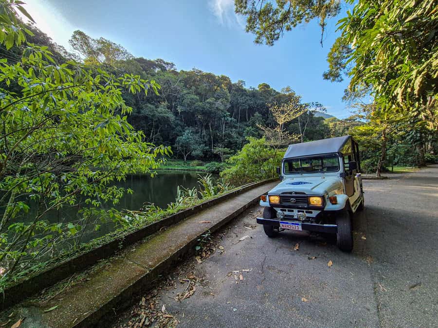 Jeep'n'Green: Rio Botanical Garden & Tijuca Rainforest Tour - Botanical Garden: 1808 roots and 6,000+ tropical species