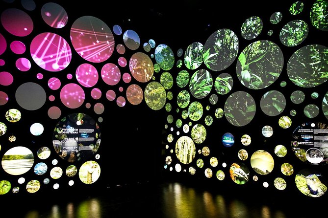 Museum of Tomorrow Guided Tour, Admission & Transfer - Entering Museu do Amanhã: interactive exhibits with a mission