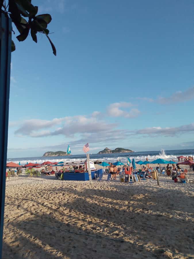 Pantanal of Rio de Janeiro - A Pantanal-Style Boat Day in Rio: What Makes This One Different