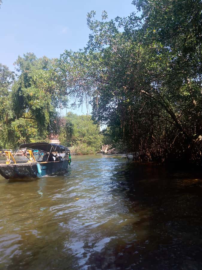 Pantanal of Rio de Janeiro - Where It Starts: Jardim Oceânico Meeting Point and Getting Set Up