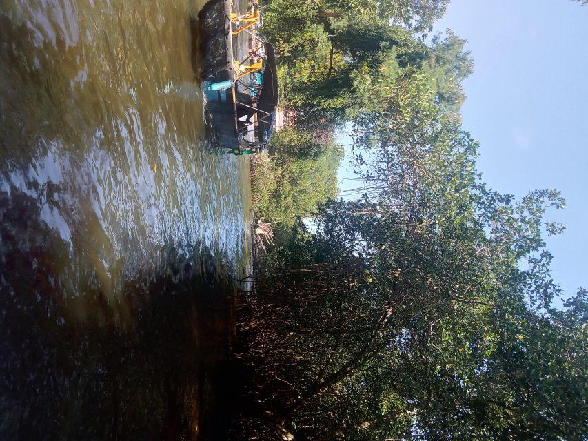 Pantanal of Rio de Janeiro - Guide Quality and Languages: English, Portuguese, Spanish