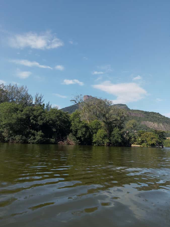 Pantanal of Rio de Janeiro - The Boat Ride Through the Archipelago: Your Main Event