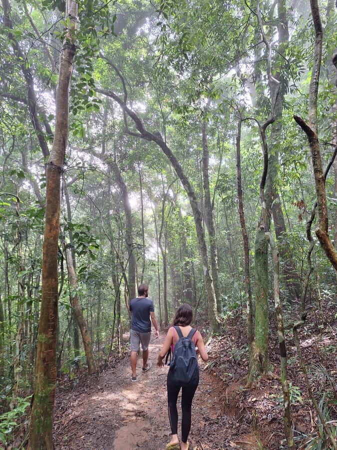 Pedra Bonita Trail: The easiest trail with a beautiful view of Rio - Why Pedra Bonita Feels Like the Perfect Rio Trade