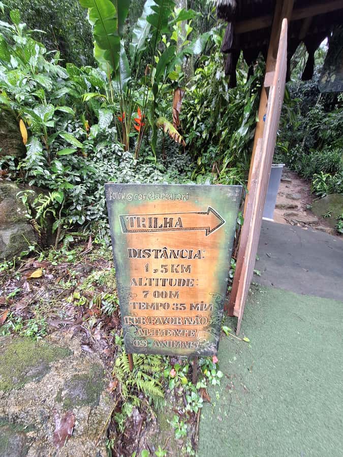 Pedra Bonita Trail: The easiest trail with a beautiful view of Rio - What Your Day Looks Like: A Simple, Real Itinerary