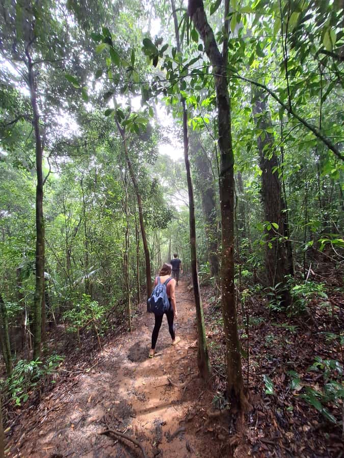 Pedra Bonita Trail: The easiest trail with a beautiful view of Rio - What to Bring (and What to Leave Behind)