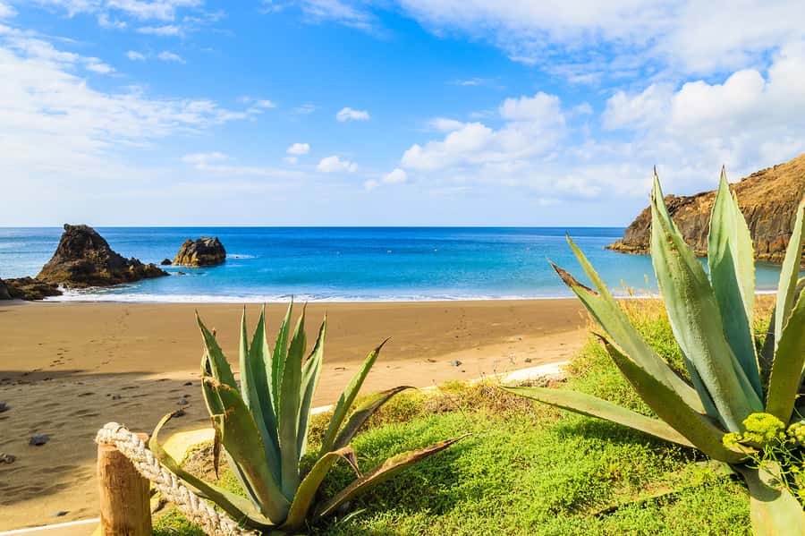 Pedra do Telégrafo Hike and Beach Full-Day Tour - How hard is it, really: steep uphill but no technical climbing