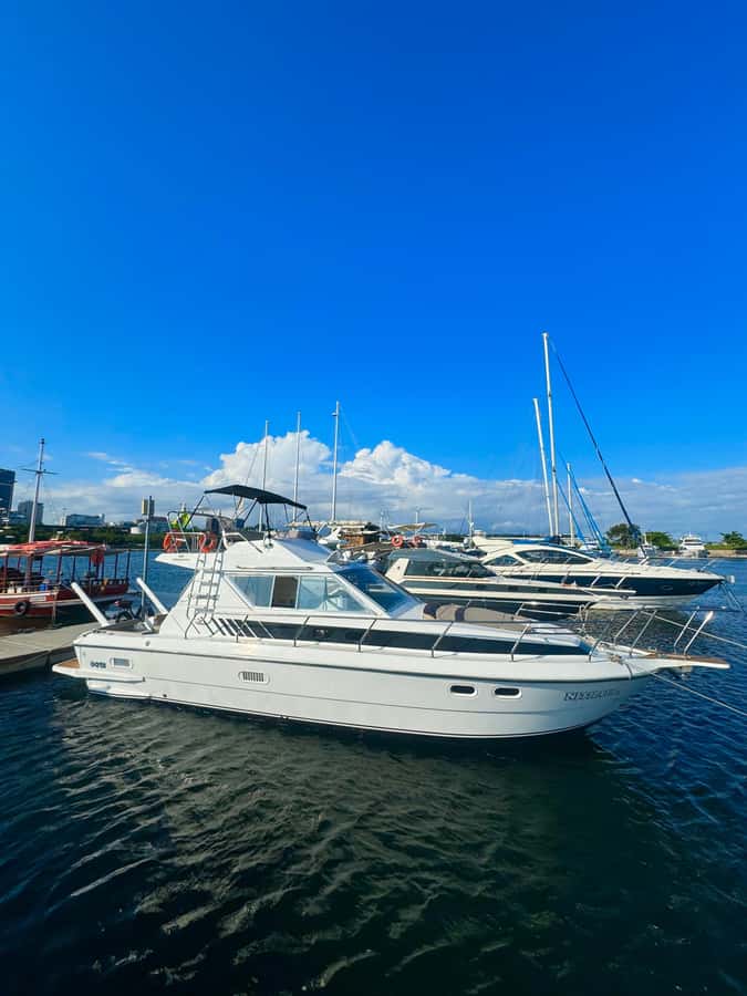 Private speedboat tour in Rio de Janeiro - Key things to know before you go