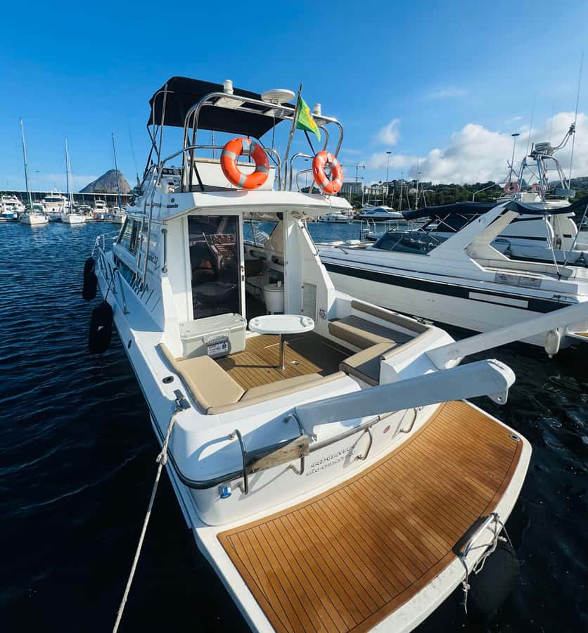 Private speedboat tour in Rio de Janeiro - Price per group: what $600 really buys you