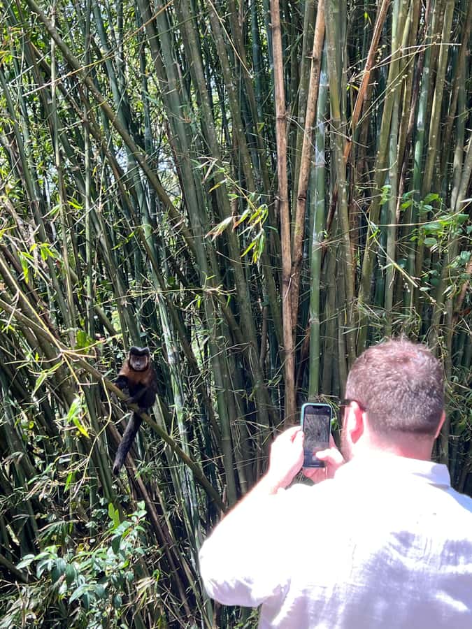 Private Tijuca Forest & Botanical Garden Guided Tour - Packing List and Trail Comfort: Small Stuff That Saves the Day