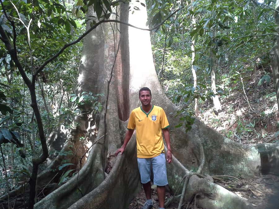 Private Tijuca Forest & Botanical Garden Guided Tour - Tijuca Forest and Botanical Garden: Rio’s Nature Side in One Day