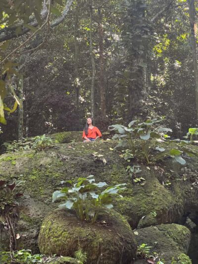 Private Tijuca Forest & Botanical Garden Guided Tour - Chinese Viewpoint at 388 Meters: A Great Start Before the Trail