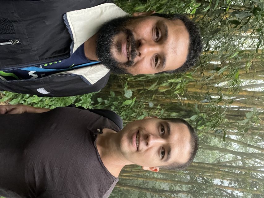 Private Tijuca Forest & Botanical Garden Guided Tour - Rio Botanical Garden: Sensory Garden, Orchidarium, and Bromeliad Greenhouse