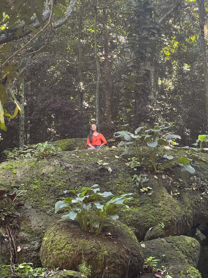 Private Tijuca Forest & Botanical Garden Guided Tour - Chinese Viewpoint at 388 Meters: A Great Start Before the Trail