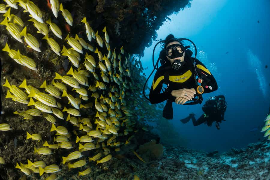 Rio: Best Dive Experience All Inclusive Scuba Diving Package - Key things I’d plan around