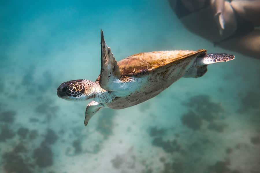 Rio: Best Dive Experience All Inclusive Scuba Diving Package - The small practical checklist I’d follow