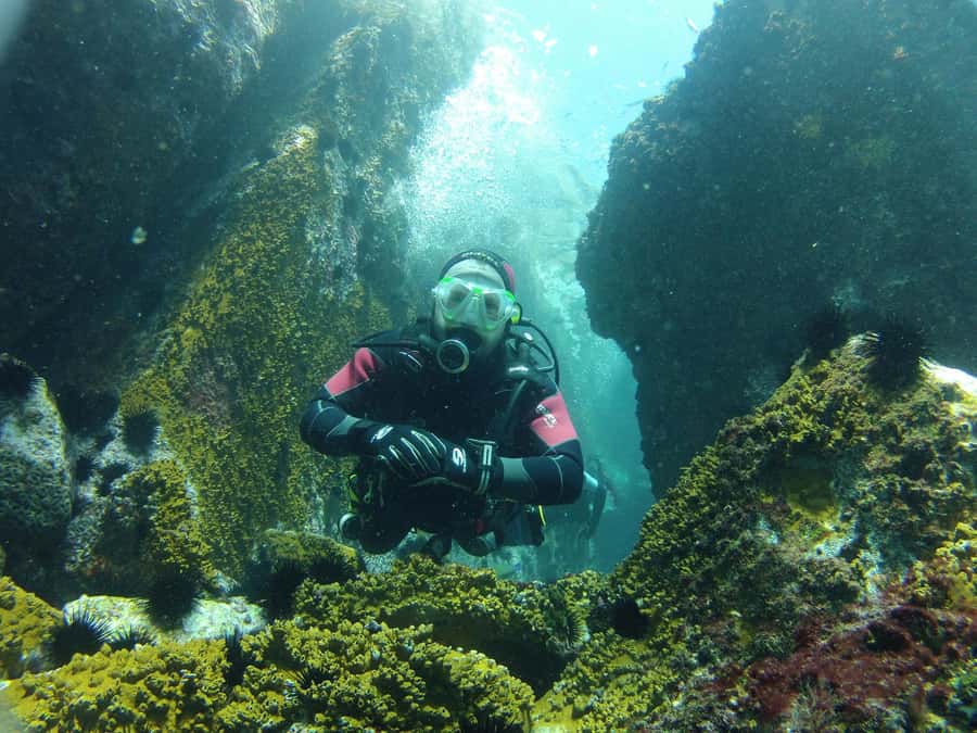 Rio: Best Dive Experience All Inclusive Scuba Diving Package - Why Arraial do Cabo is worth the 2.5-hour ride